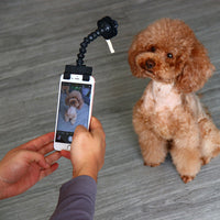 Thumbnail for Pet Selfie Stick Artifact