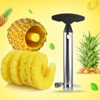 Thumbnail for Pineapple Pulp Separator