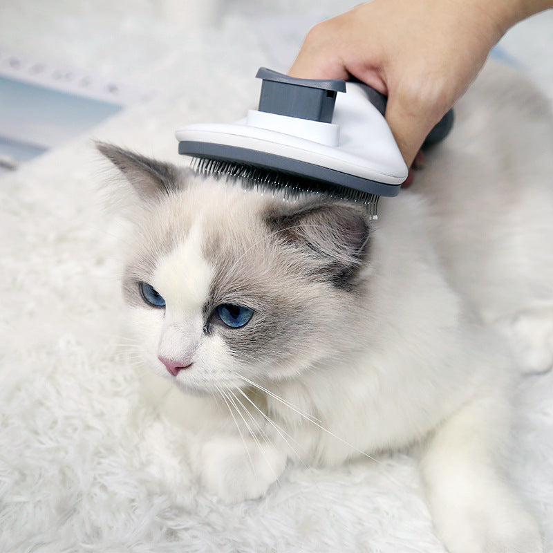 Self-Cleaning Comb