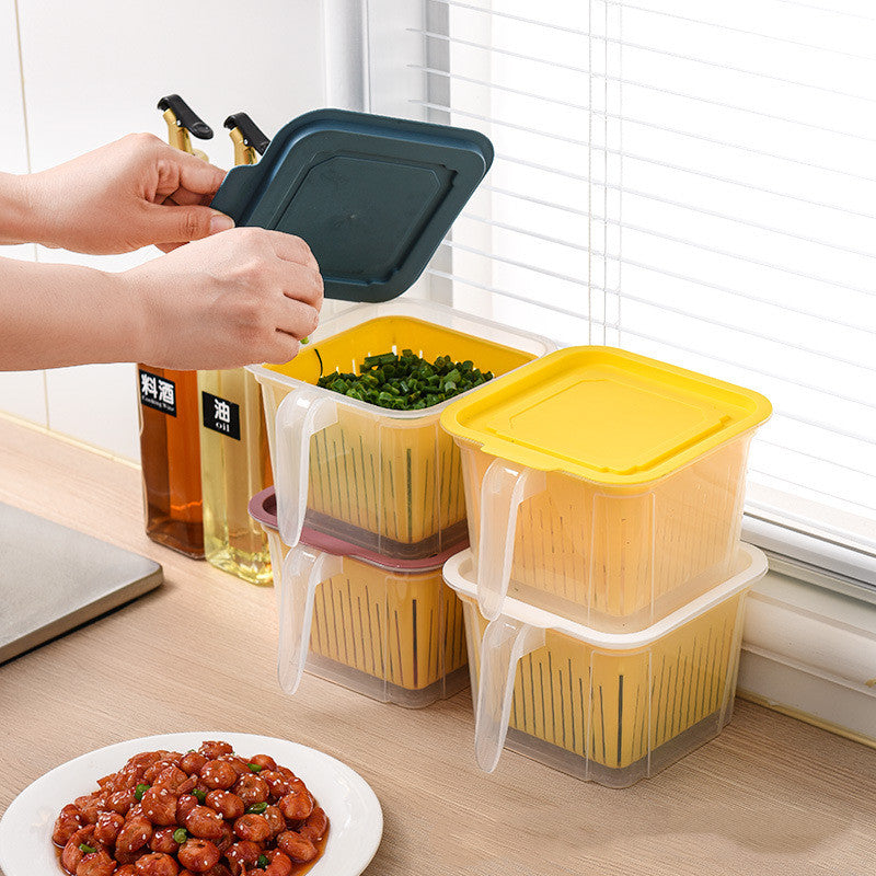 Refrigerator Food Storage