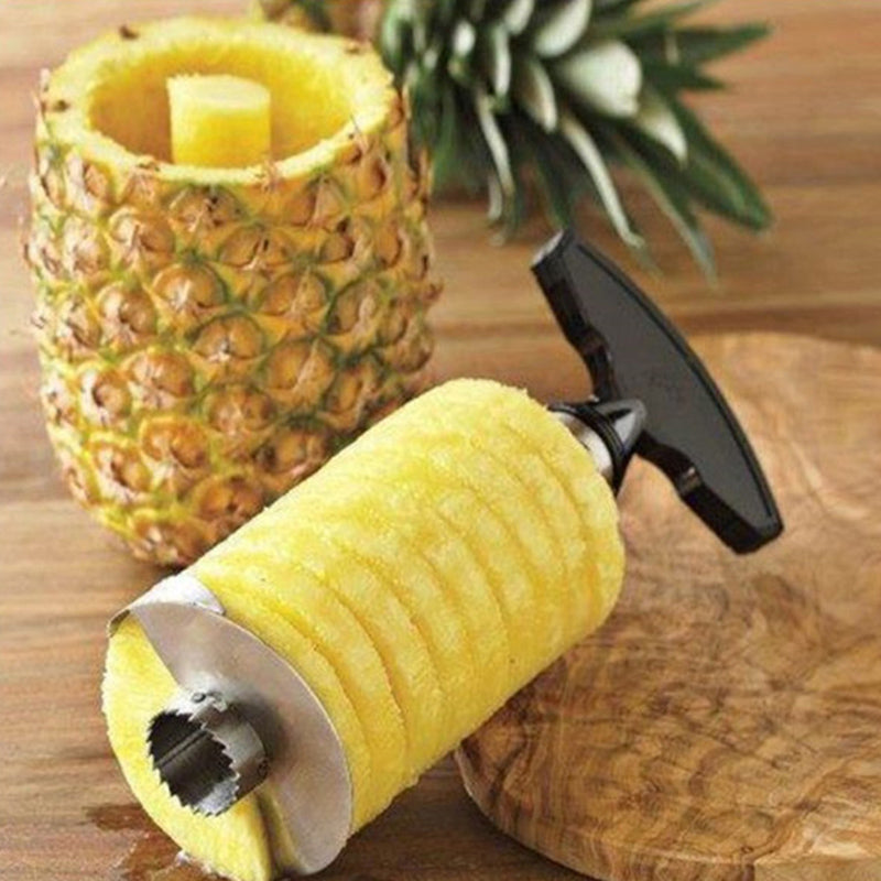 Pineapple Pulp Separator