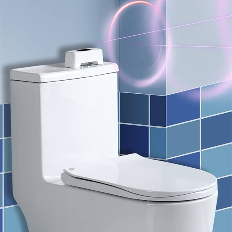 Automatic Sensor Toilet Flusher