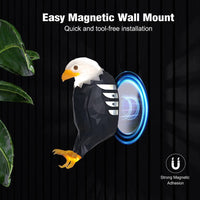 Thumbnail for Bald Eagle Wall Light