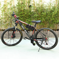 Thumbnail for Bicycle Electric Booster