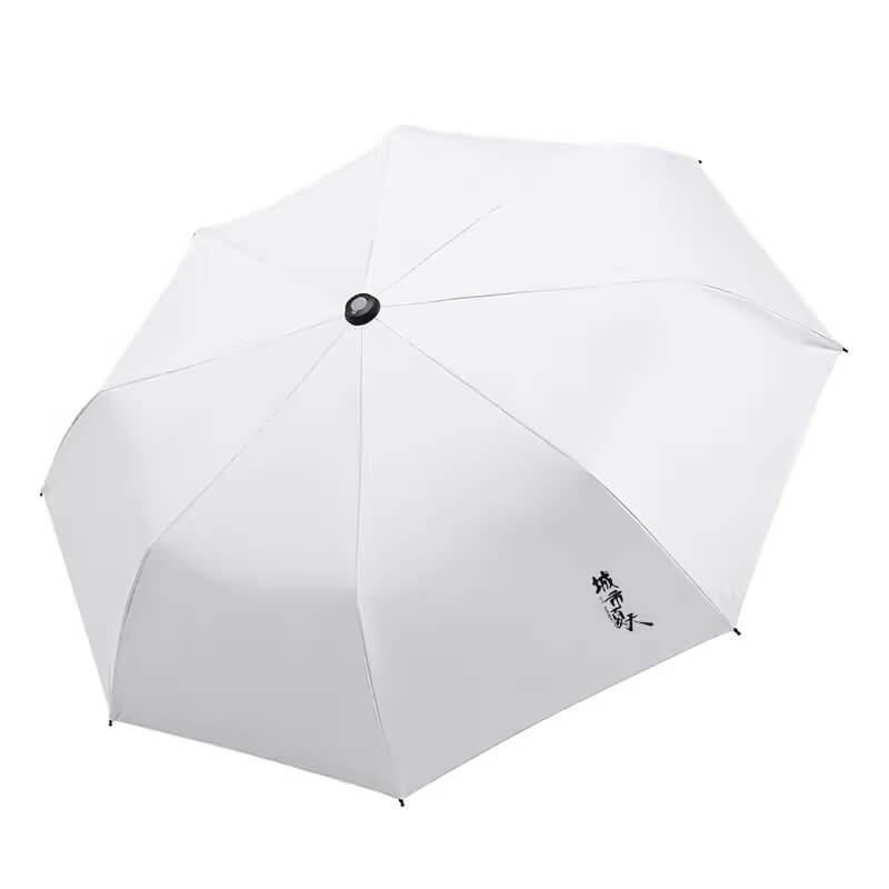 Folding Spray Umbrella