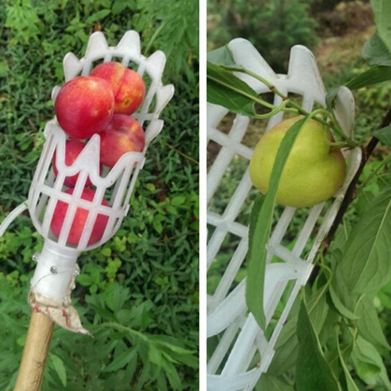 Fruit Picking Catcher