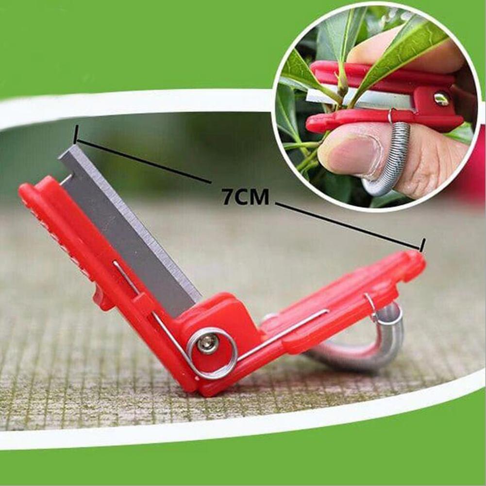 Fruit Harvesting Cutter