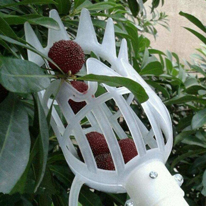 Fruit Picking Catcher