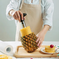 Thumbnail for Pineapple Pulp Separator