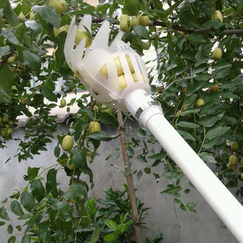 Fruit Picking Catcher