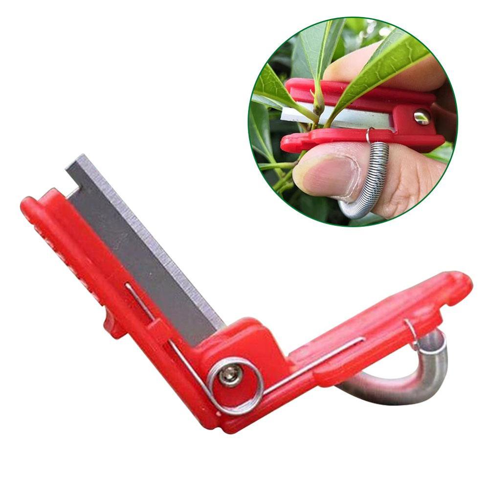 Fruit Harvesting Cutter