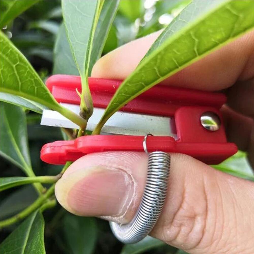 Fruit Harvesting Cutter