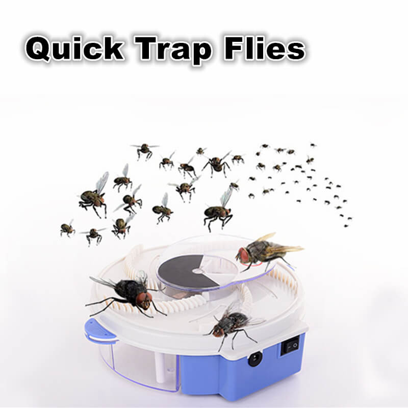 Automatic Fly Trap