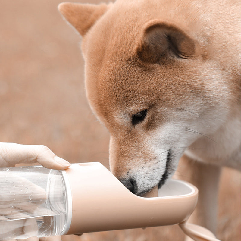 Outdoor Drinking Cup