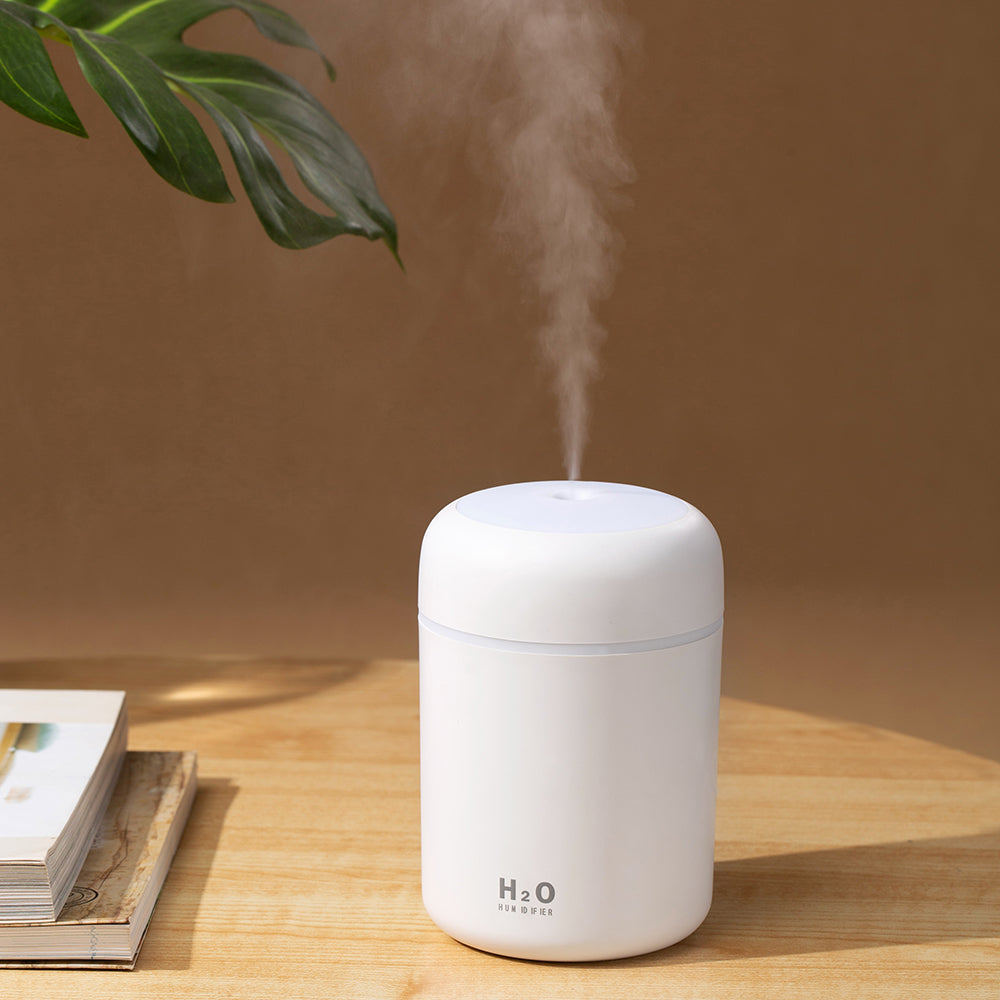 Portable Air Humidifier