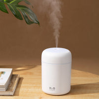 Thumbnail for Portable Air Humidifier